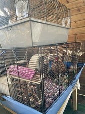 Hamster Cage blue base