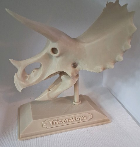 Triceratops printed - triceratops,
