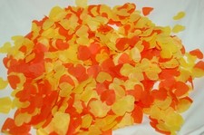 Biodegradable Confetti -