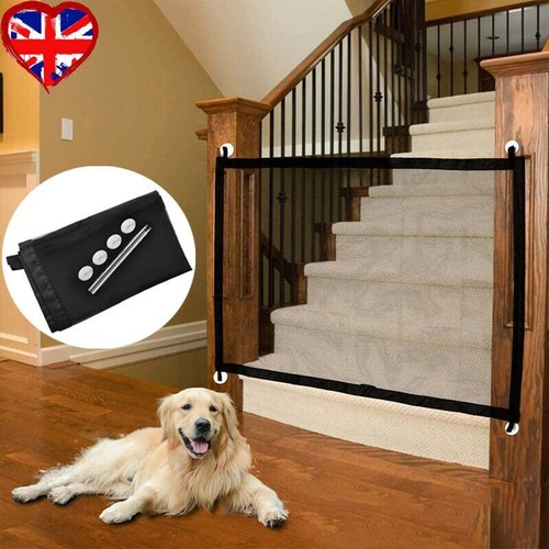 Cats dog gate safety - dog,