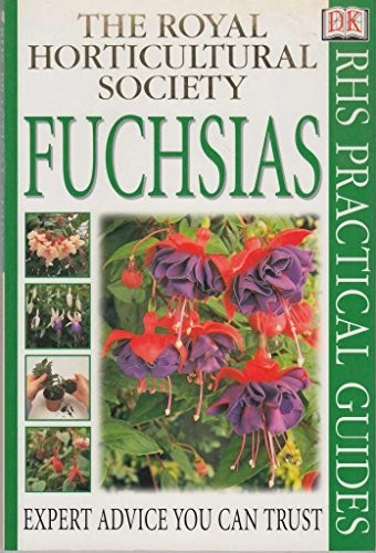 Fuchsias by - fuchsias,
