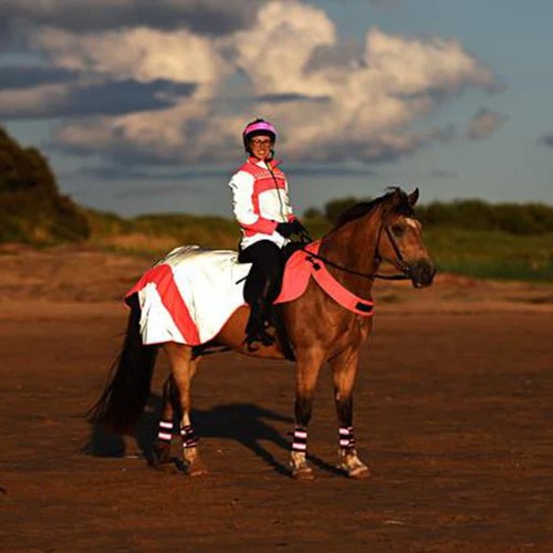 Equisafety mercury reflective - equisafety,
