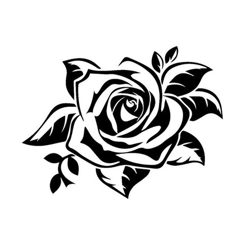 Rose - 2,
