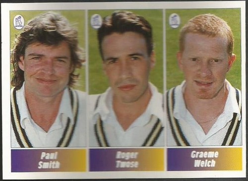 Panini cricket - panini, 95-