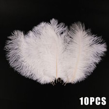 10x Large Ostrich Feathers