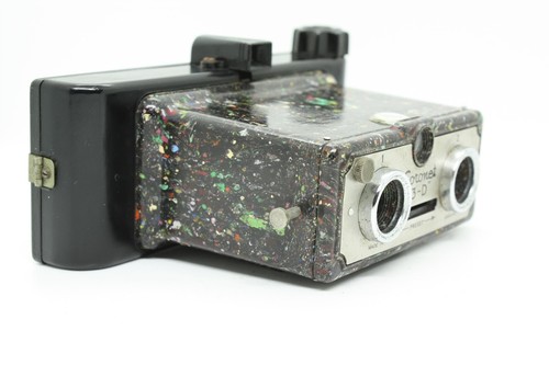 Speckled coronet 127 - coronet,