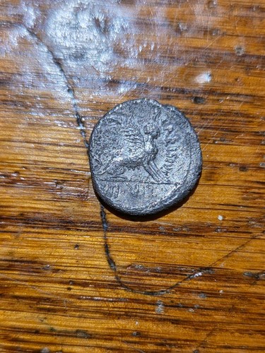 Very scarce roman republic - very, t