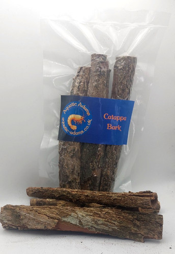Catappa bark strips indian - catappa, (indian