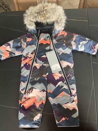 Canada goose baby - goose,