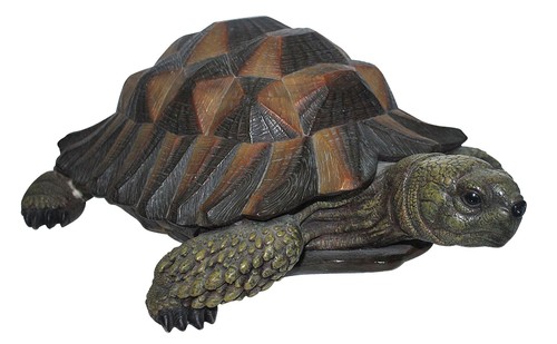 Tortoise lifelike garden - tortoise,