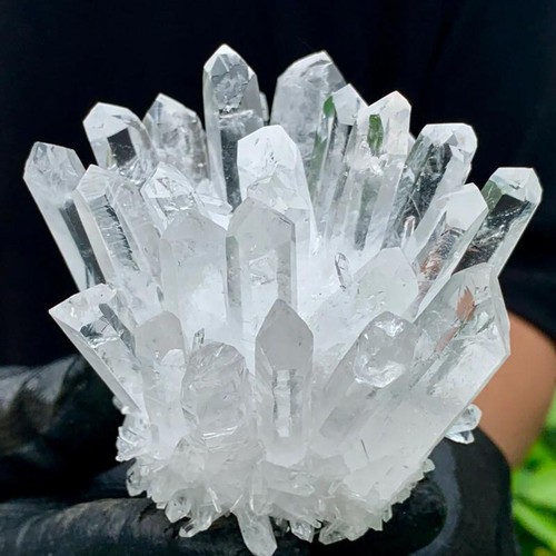 500 600g large - 500-600g,