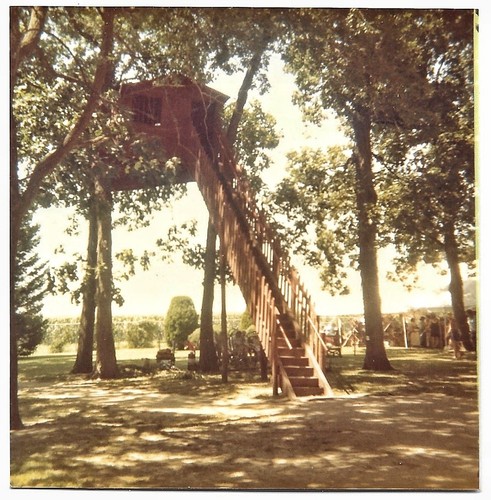 Backyard treehouse clubhouse - treehouse,