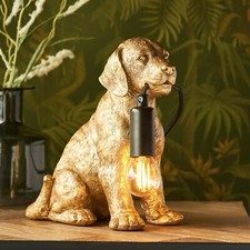 Gold Labrador Puppy Dog Animal