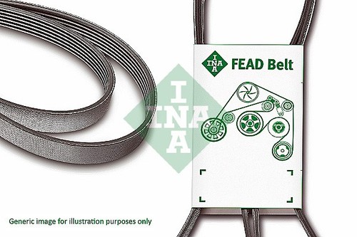 Ribbed belt ina - belt, fb