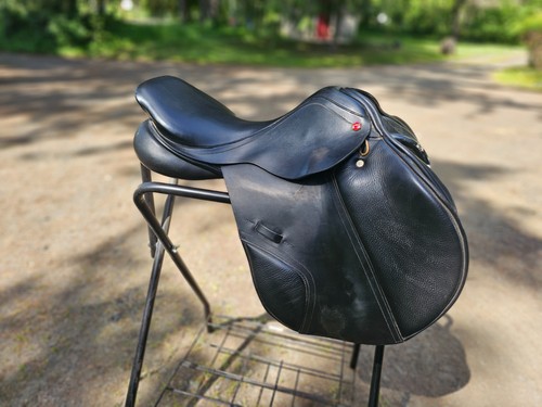 Albion adjusta legend - -,