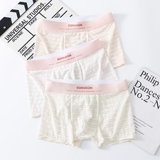 Men's Ice Silk Boxer Briefs