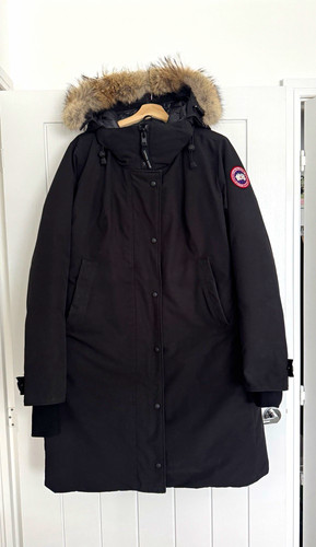 Canada goose arctic program - goose,