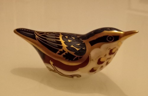 Royal crown derby wren - crown, bird