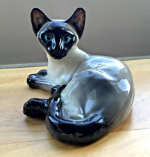 Seneshall Studio Six Sitting