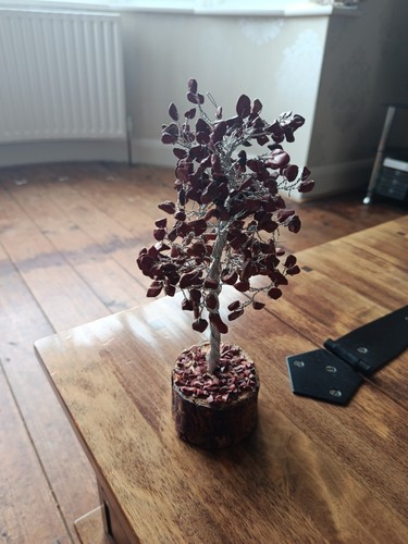 Red jasper tree life high - of,