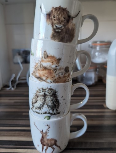 Royal worcester wrendale mugs - royal,