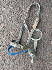 Monty Roberts Large Dually Halter