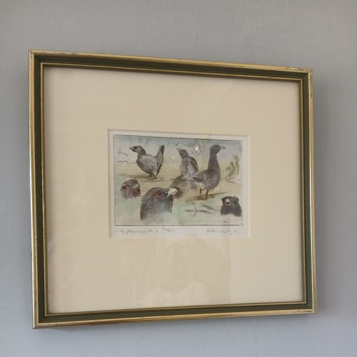 Peter partington capercaillie - ,