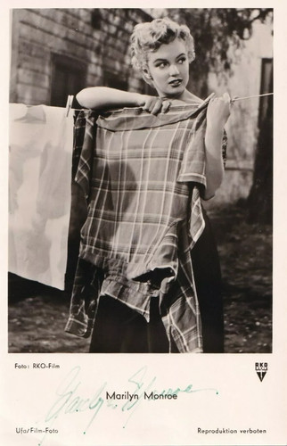 Marilyn monroe scarce - *,