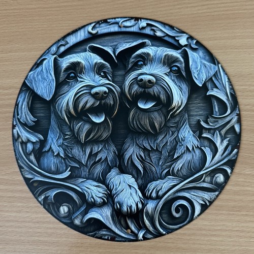 Miniature schnauzer dog - miniature,