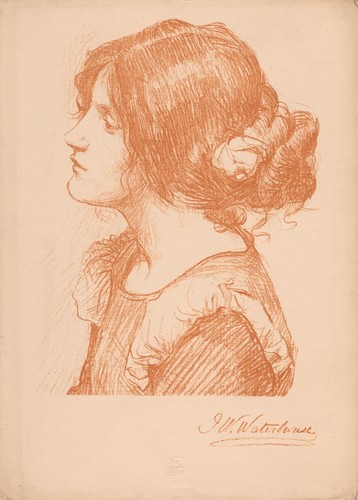 Head study original antique - head,