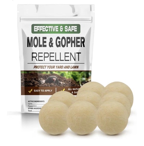 Mole gopher groundhogs - mole,
