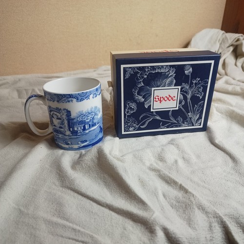 Boxed unused spode - boxed,