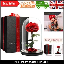 Preserved Forever Rose in