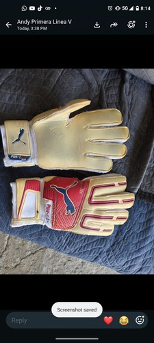 Goalkeeper gloves - goalkeeper,