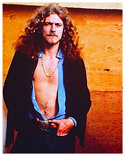 Robert plant x6 - robert,