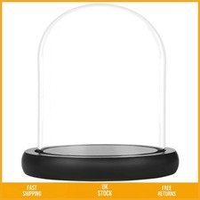 Elegant Decorative Glass Dome