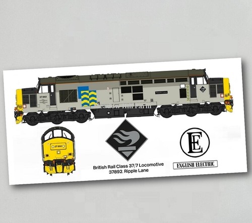 Class diesel fridge magnet - class,
