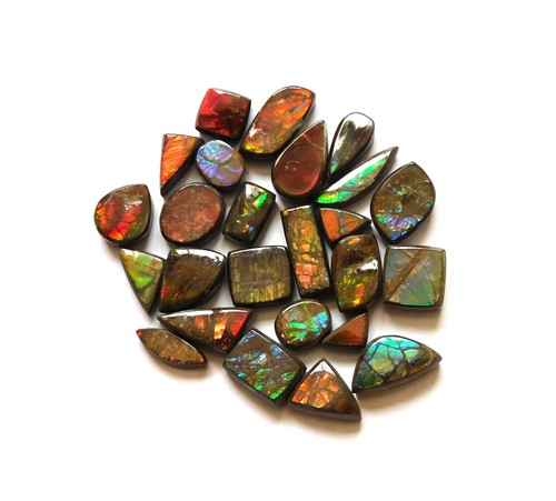 Cts natural ammolite - cts, 25