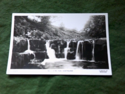 Goathland yorkshire nelly ayre - goathland,