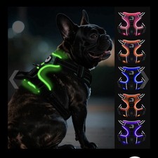 Light dog harness - light, usb