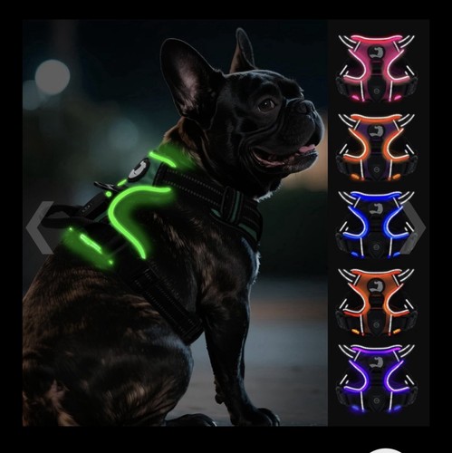 Light dog harness usb - light,