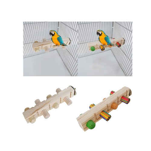 Parrot chewing toy play - parrot,
