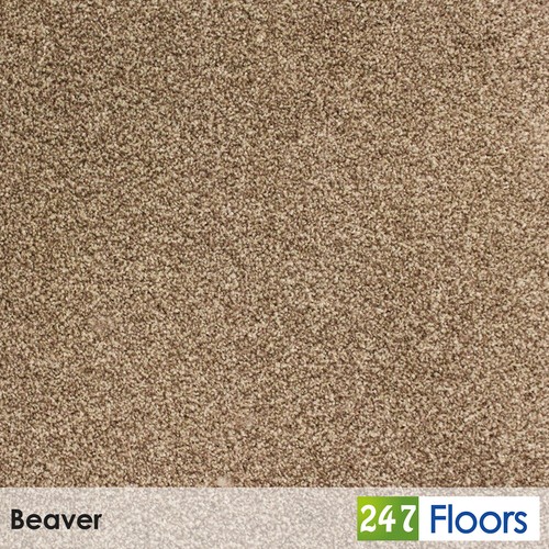 Beaver primo ultra carpet - primo, by