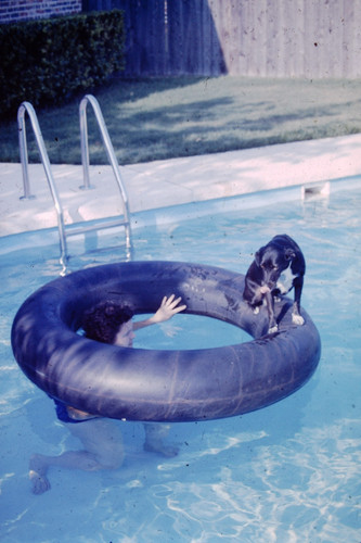 Oct 1975 dog tube - oct,