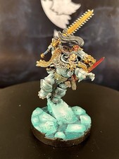 Warhammer 40k Space Wolves Ragnar Blackmane Pro Painted 