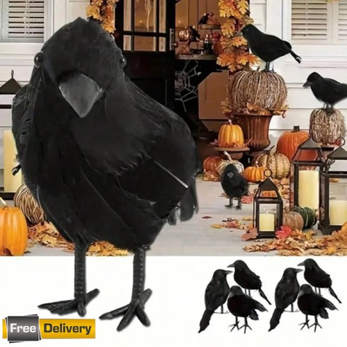 Realistic feathered black - realistic, crow