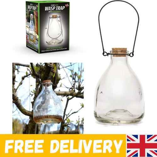 Wasp trap large catcher - wasp,