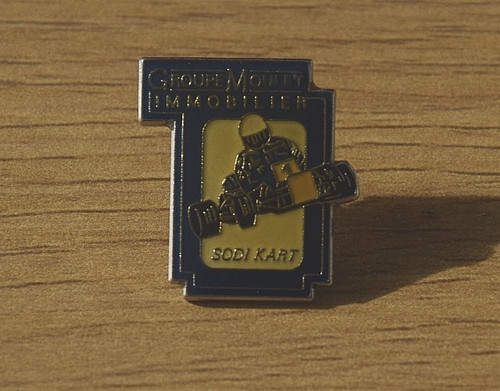Pins group real estate - group, mold