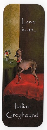 Italian greyhound dog - dog, bookmark