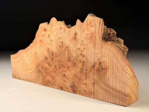 Live edge burr elm wood - burr, slab